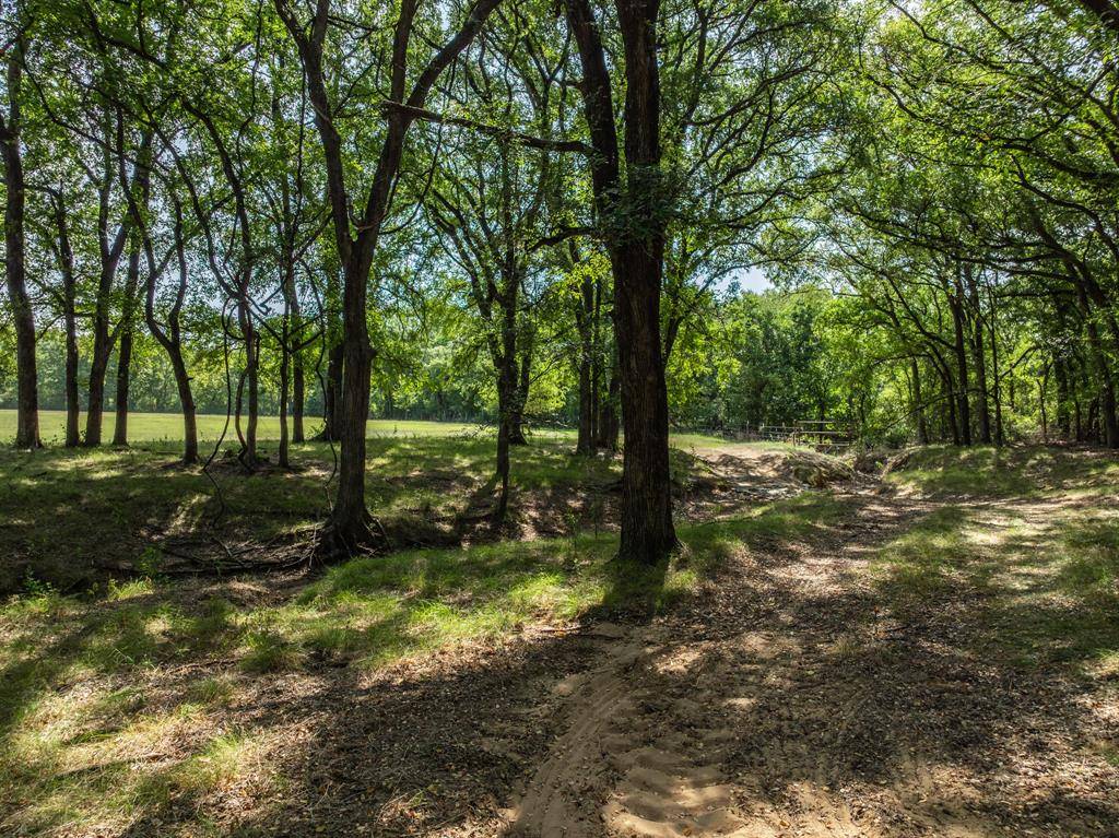 TBD HCR 1314, Whitney, TX 76692