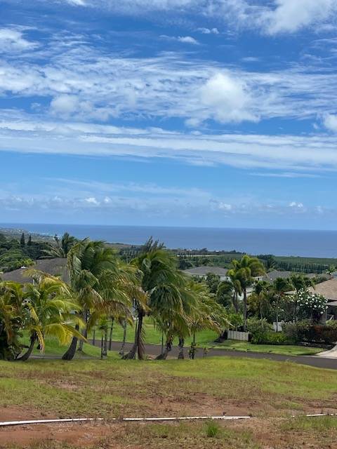 1194 PUA MELIA ST, Kalaheo, HI 96741