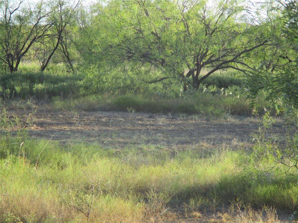 TBD CR 467 CR 467, No City, TX 76882