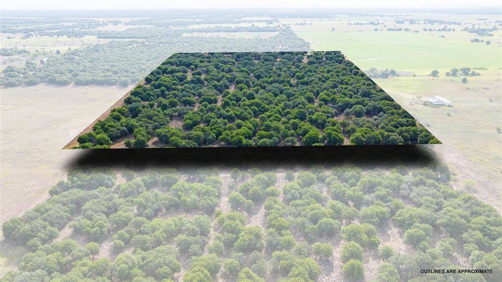 TBD FM 3368 tract 2, Hawley, TX 79525