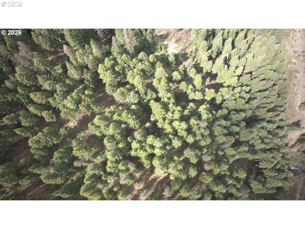 0 Palmer Junction rd, Elgin, OR 97827