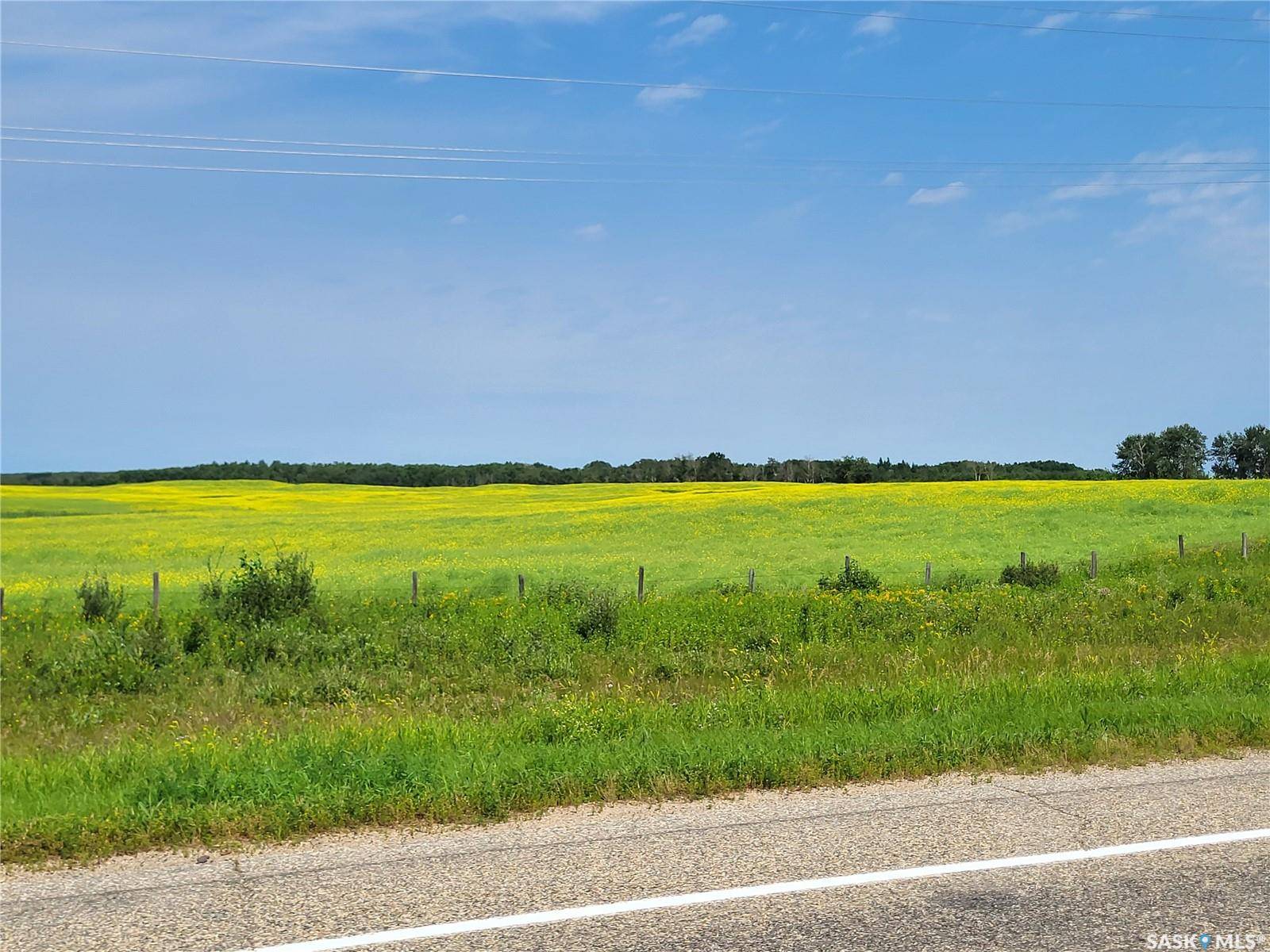 Rural Address, Canwood Rm No. 494, SK S0J 0S0
