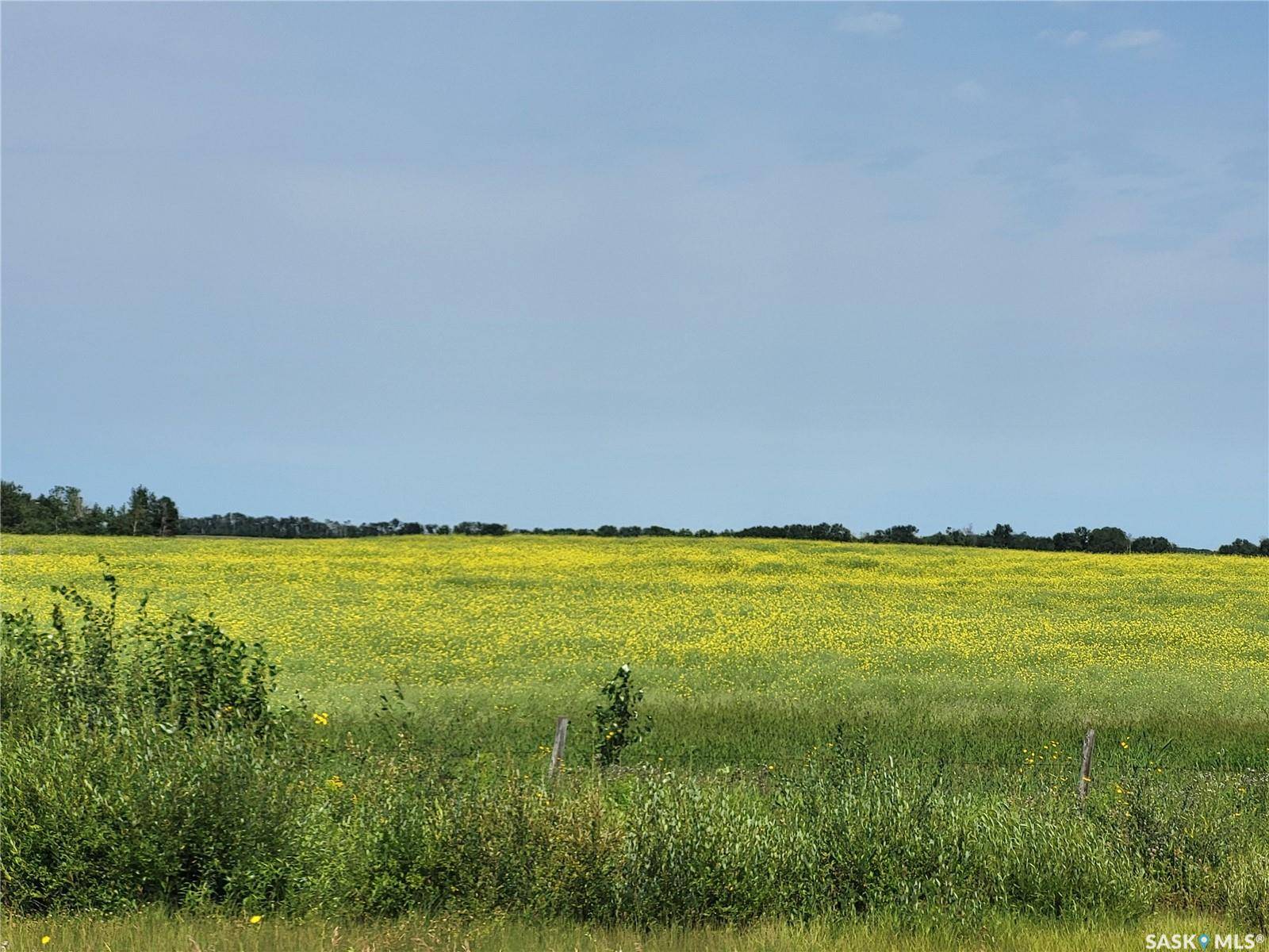 Rural Address, Canwood Rm No. 494, SK S0J 0S0