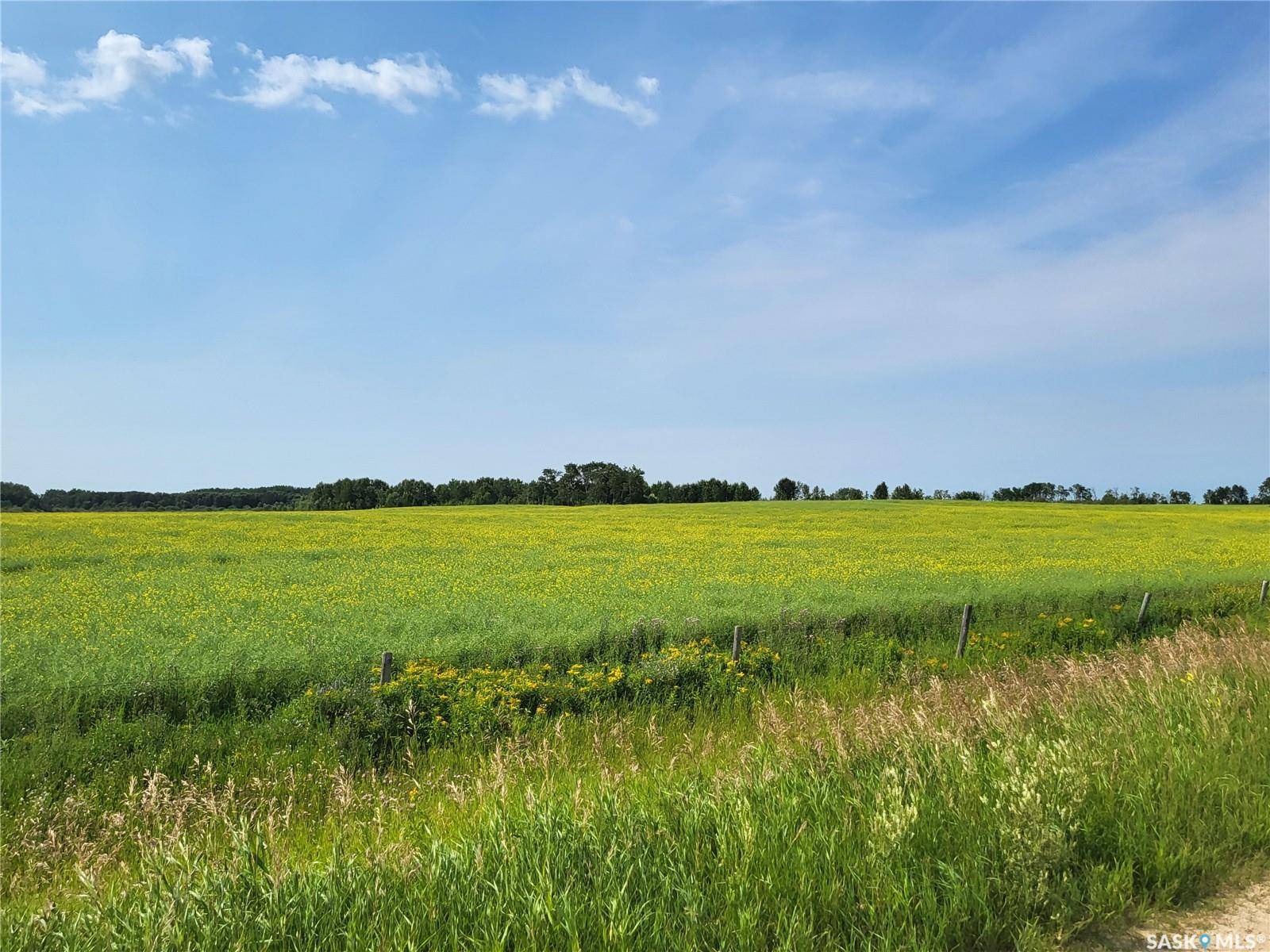 Rural Address, Canwood Rm No. 494, SK S0J 0S0