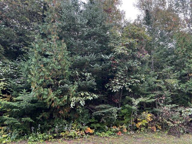 4 SHORE RD, Saugeen Shores, ON N0H 2L0