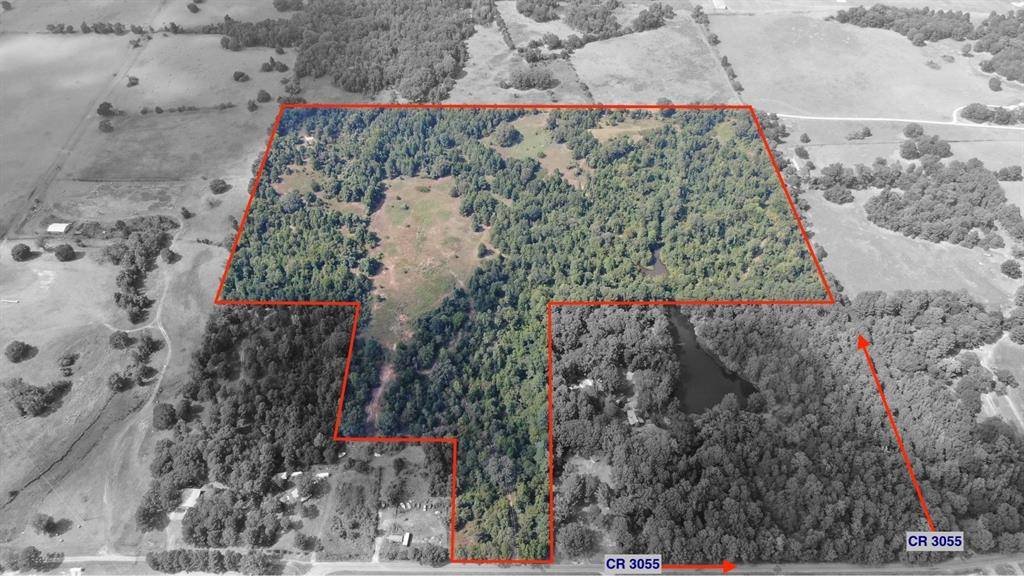 0 County Road 305, Frankston, TX 75763