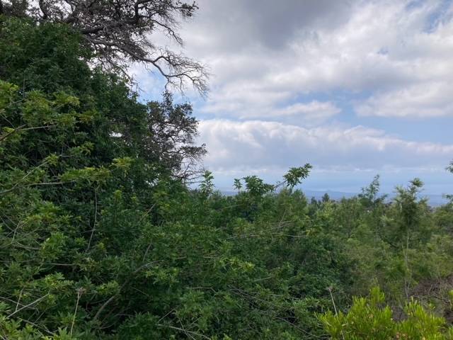 KEAKA PKWY, Ocean View, HI 96737