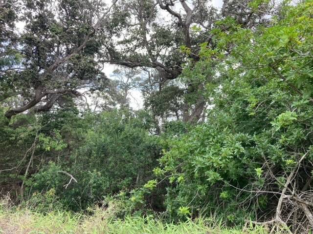 KEAKA PKWY, Ocean View, HI 96737