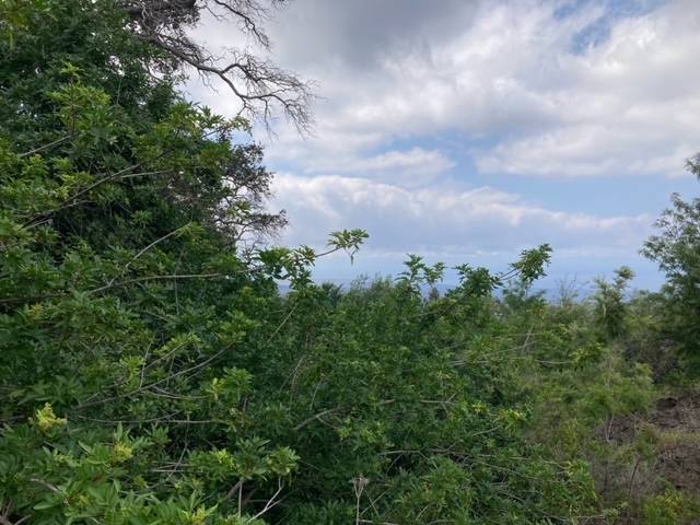 KEAKA PKWY, Ocean View, HI 96737