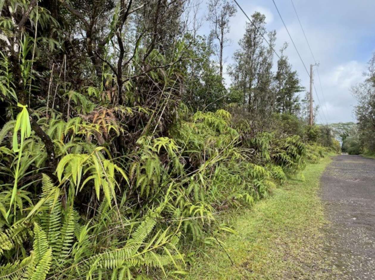 16-1564 PULELEHUA RD, Kurtistown, HI 96760