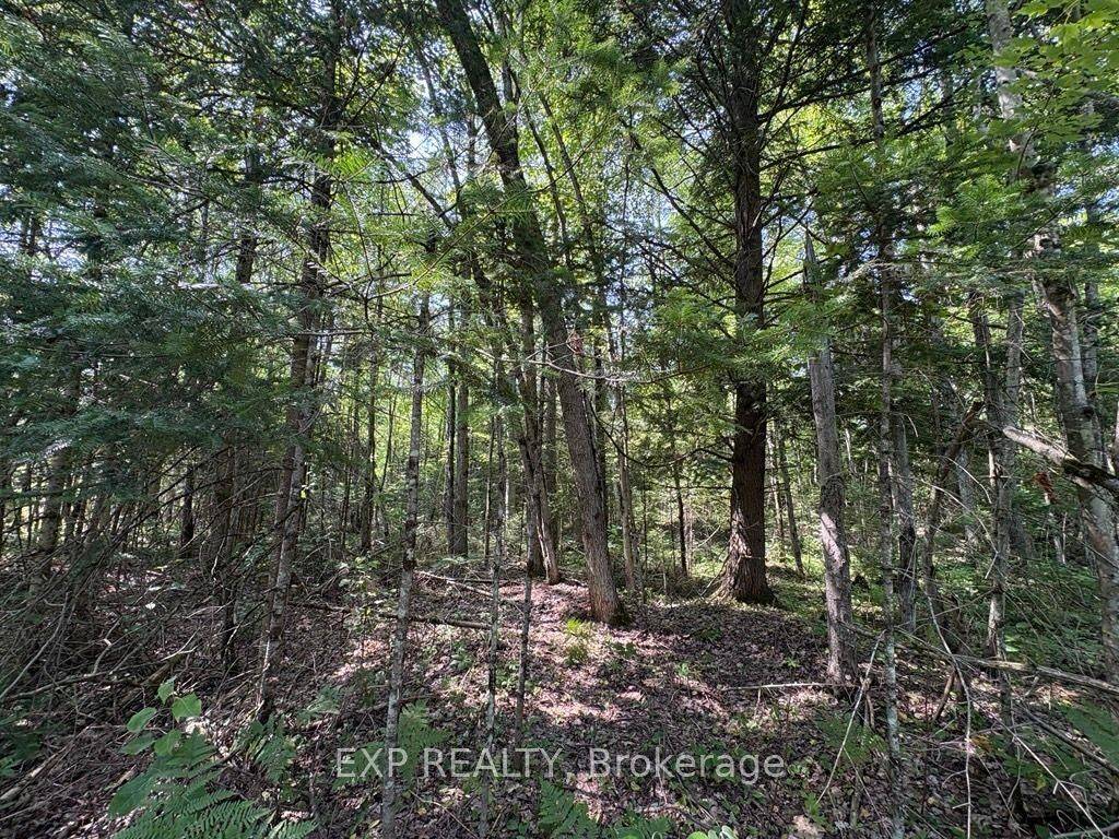 1 Lot 1 Concession 2 Part 4 Boundary Concession, Alfred And Plantagenet, ON K0B 1L0