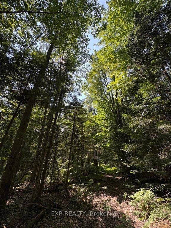 1 Lot 1 Concession 2 Part 4 Boundary Concession, Alfred And Plantagenet, ON K0B 1L0