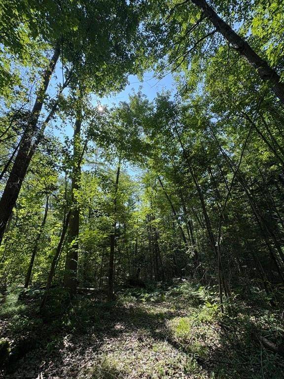 1 Lot 1 Concession 2 Part 4 Boundary Concession, Alfred And Plantagenet, ON K0B 1L0