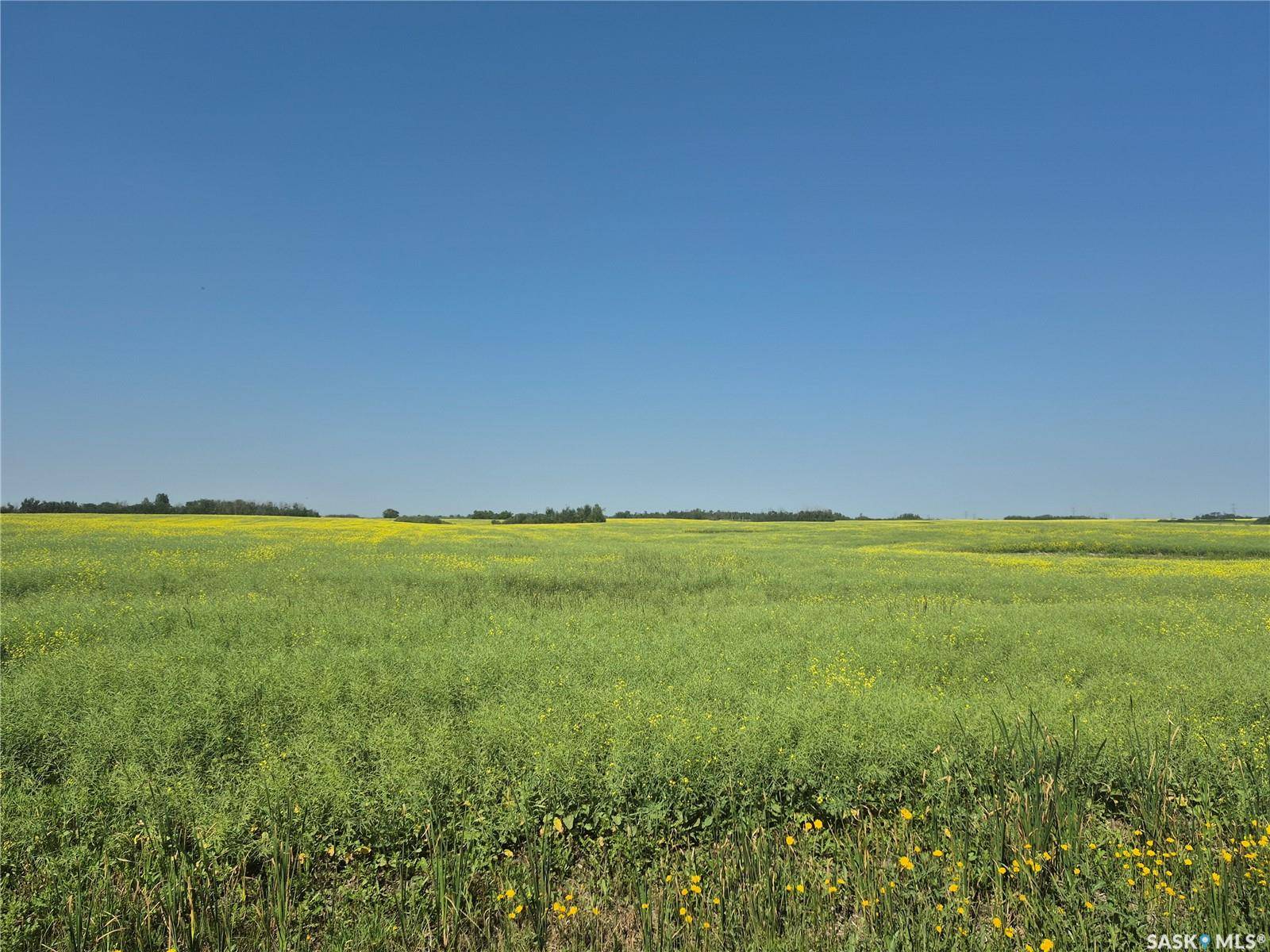 Rural Address, Corman Park Rm No. 344, SK S7K 5W1