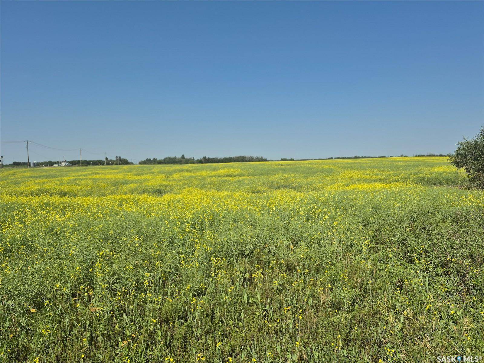 Rural Address, Corman Park Rm No. 344, SK S7K 5W1