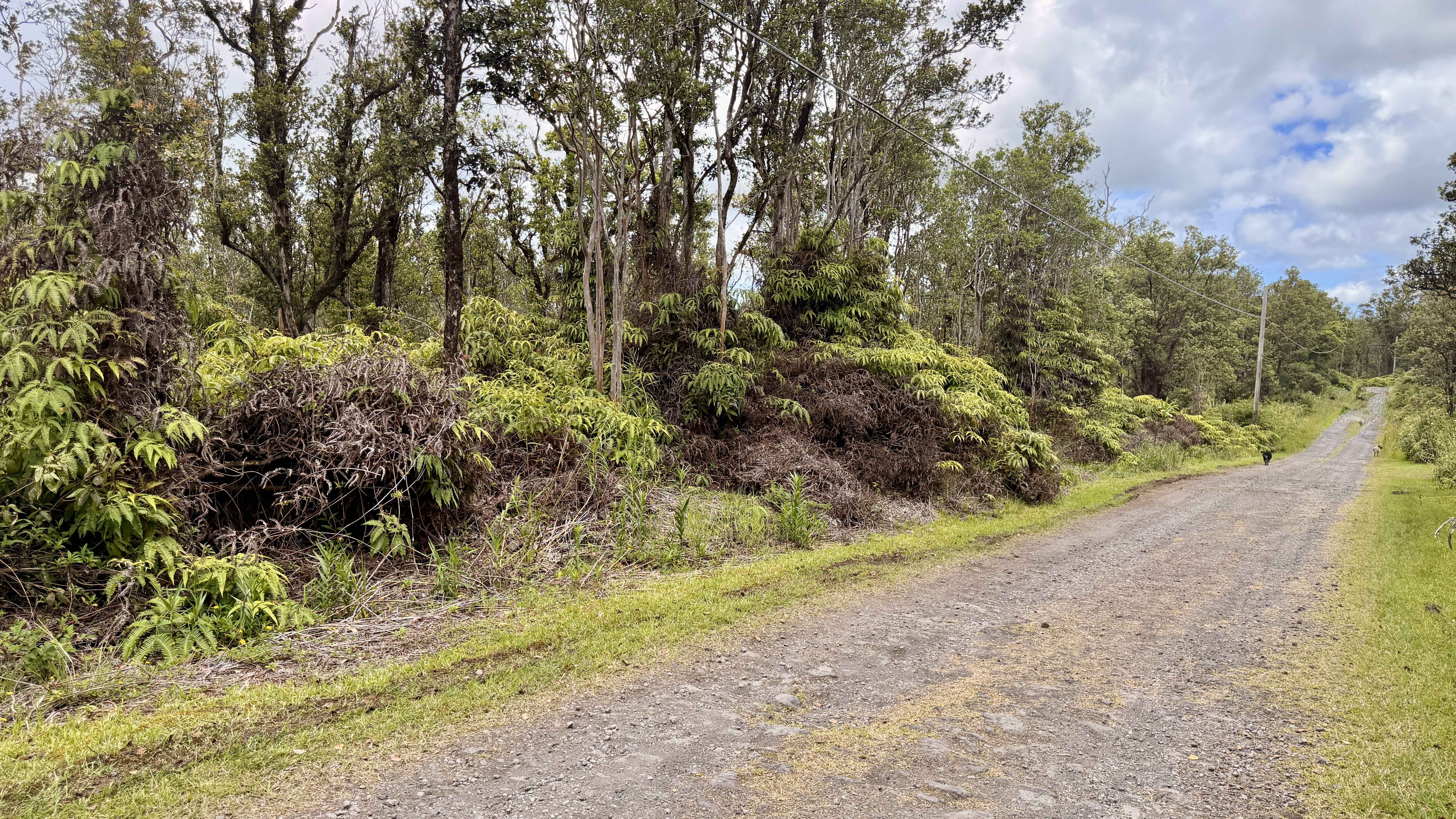 KOKOKAHI RD, Volcano, HI 96785
