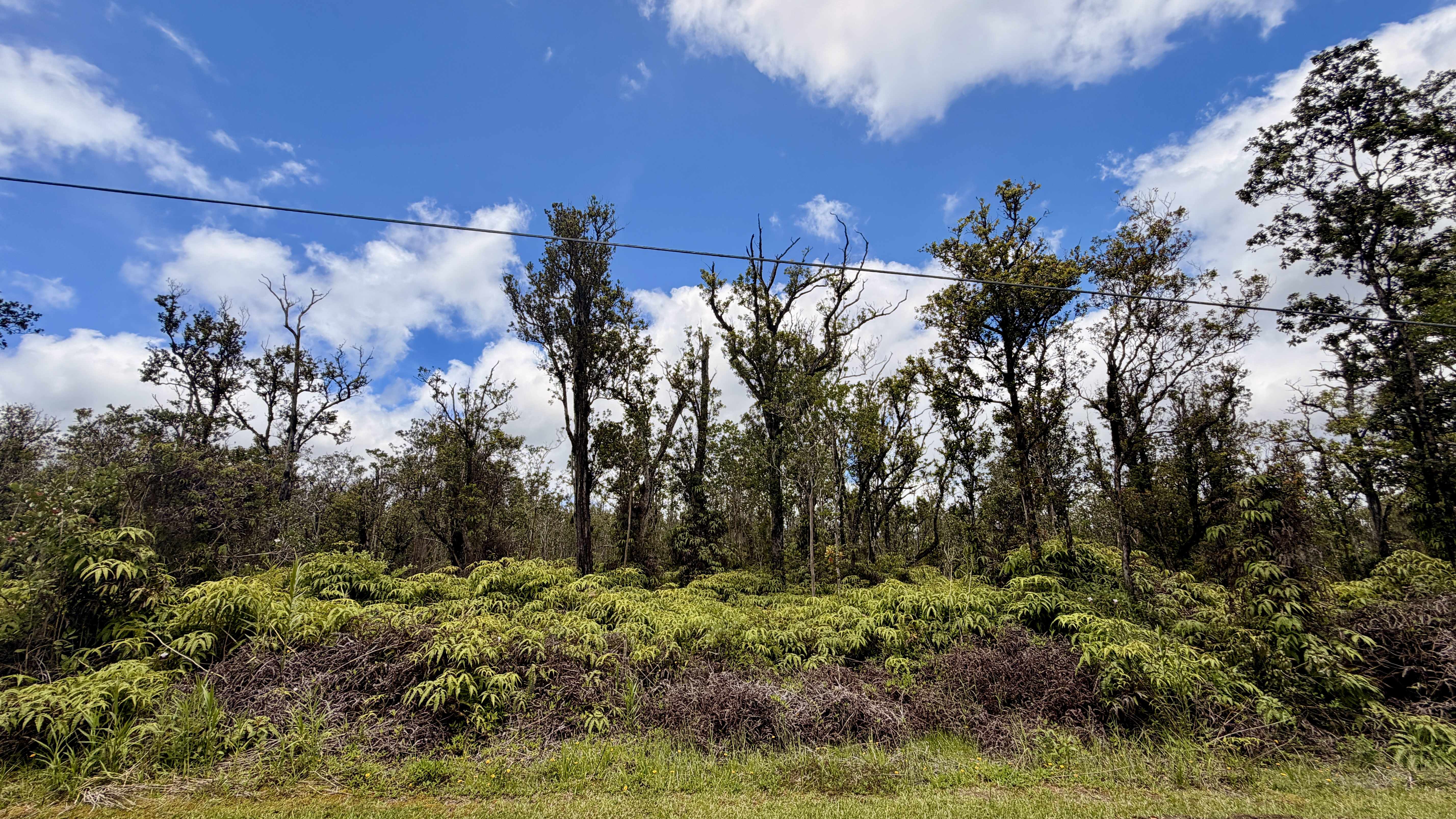 KOKOKAHI RD, Volcano, HI 96785