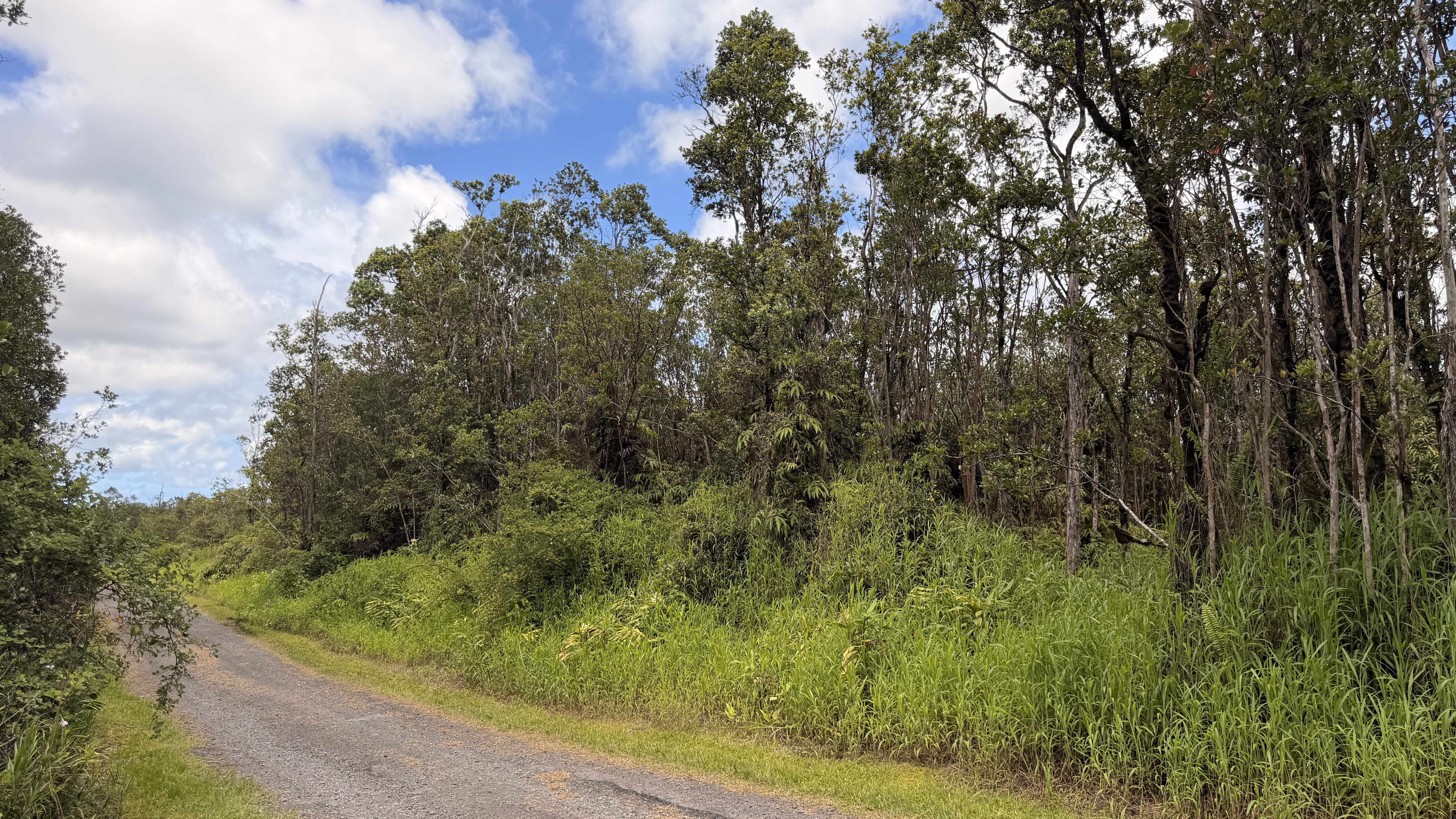 MAKOA RD, Volcano, HI 96785