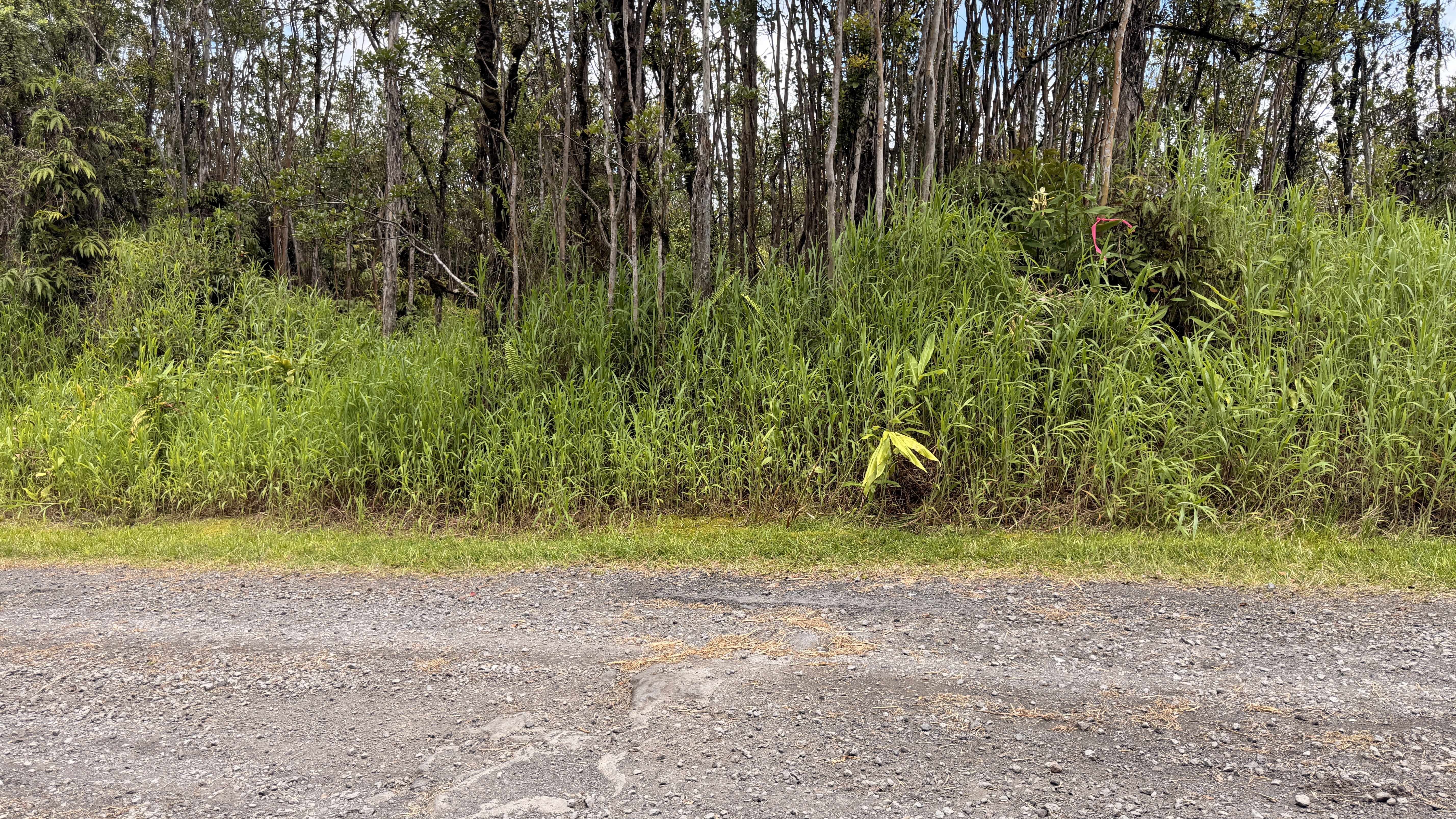MAKOA RD, Volcano, HI 96785