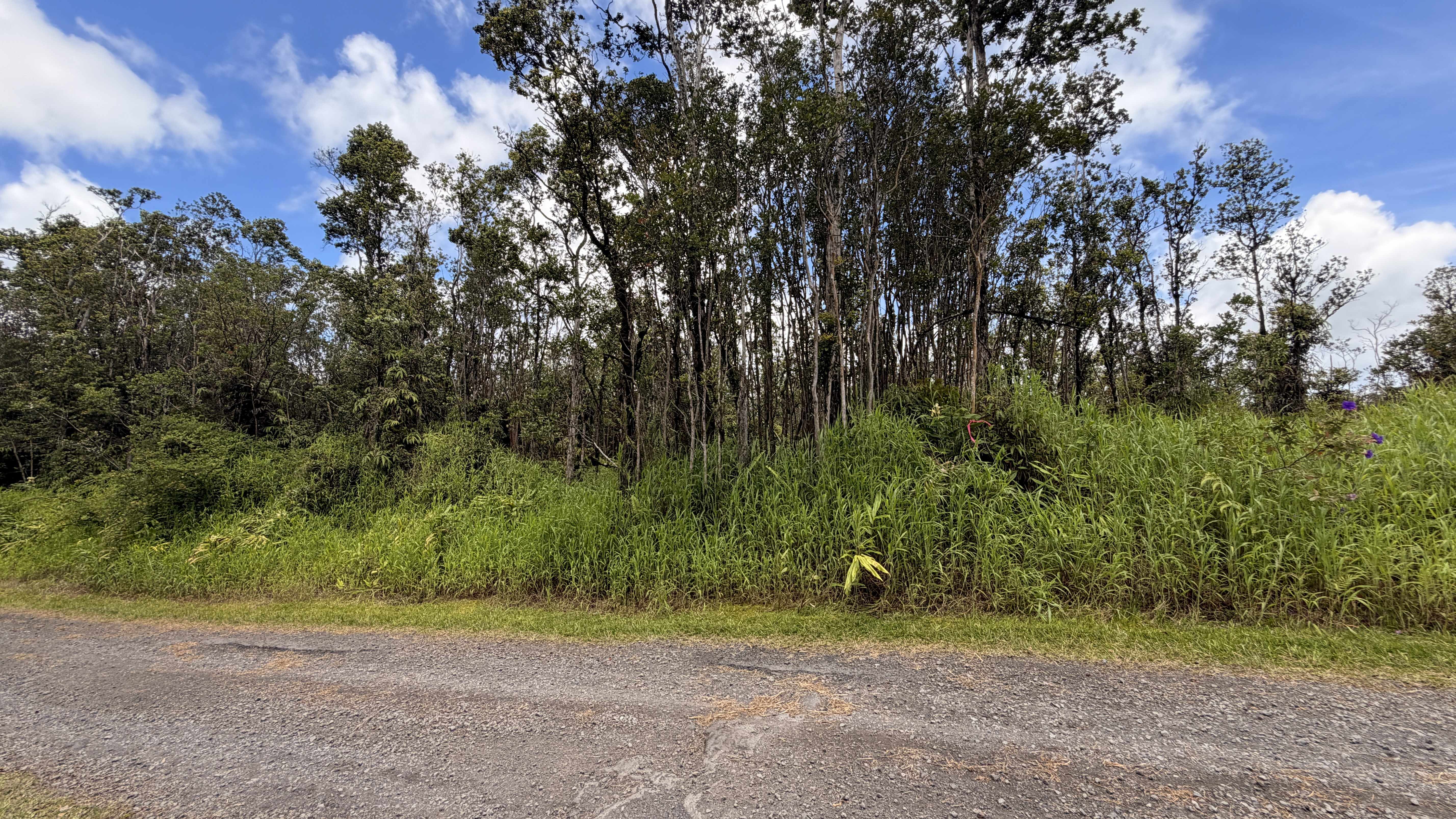 MAKOA RD, Volcano, HI 96785