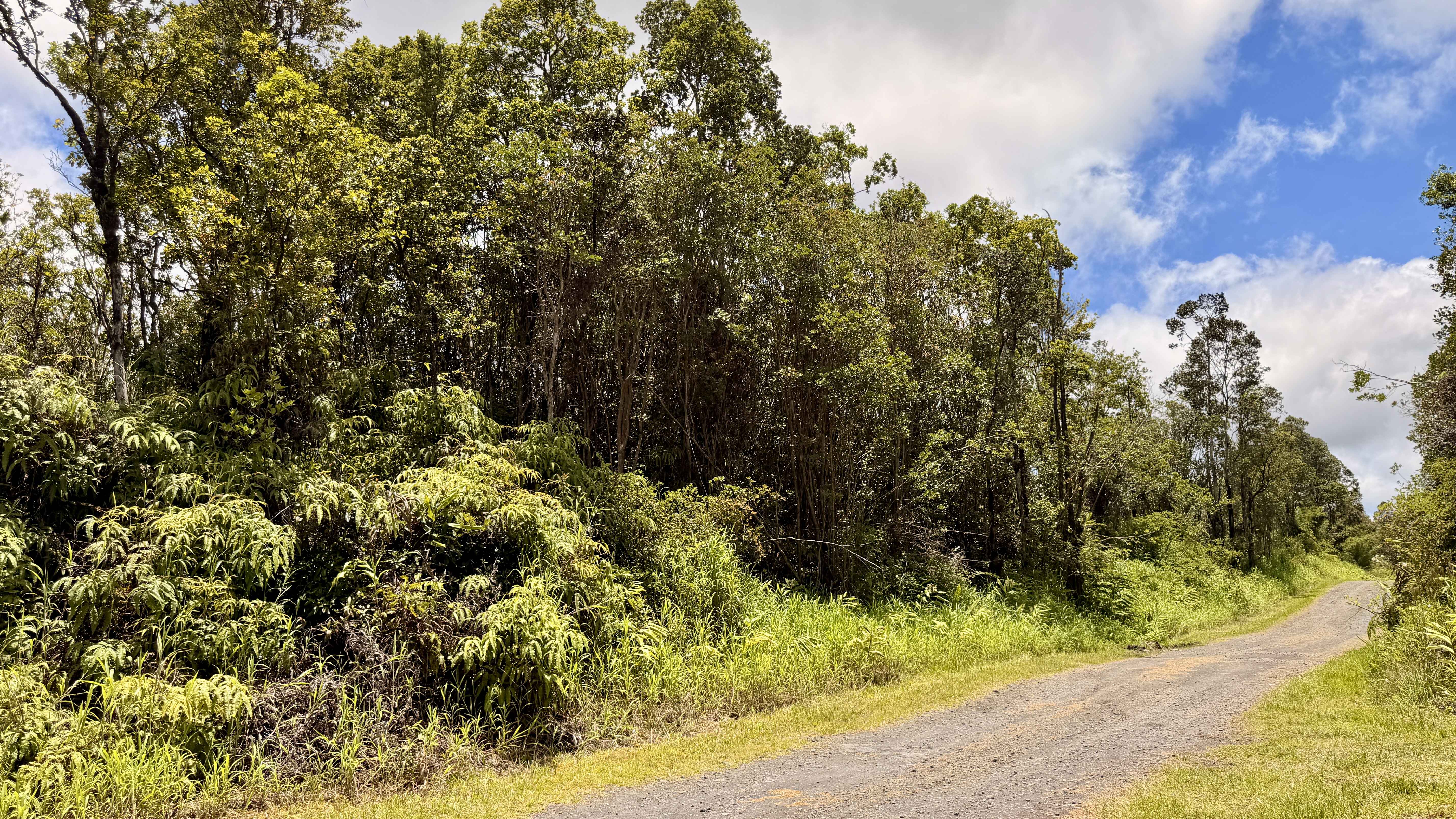 MAKOA RD, Volcano, HI 96785