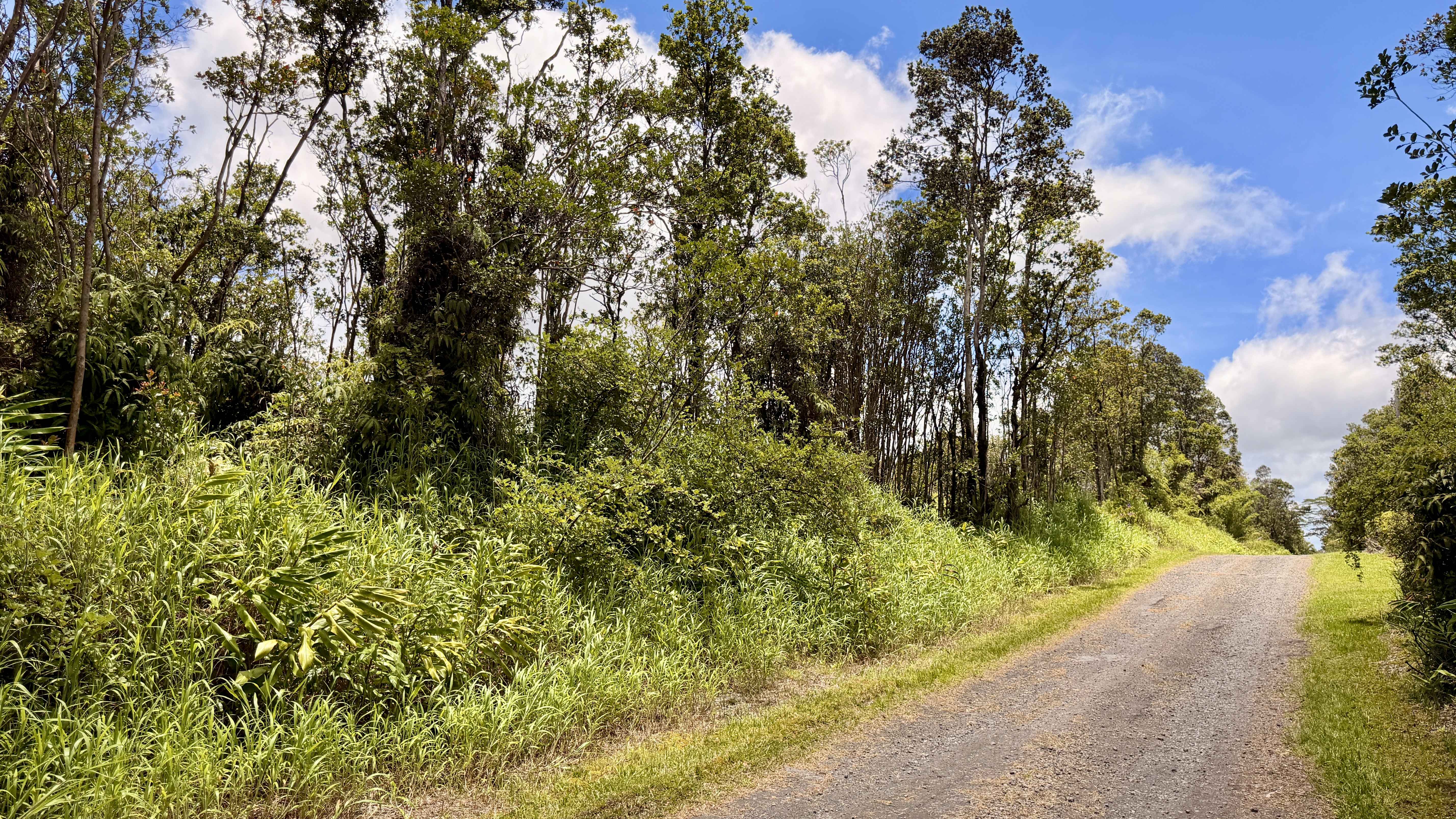 MAKOA RD, Volcano, HI 96785