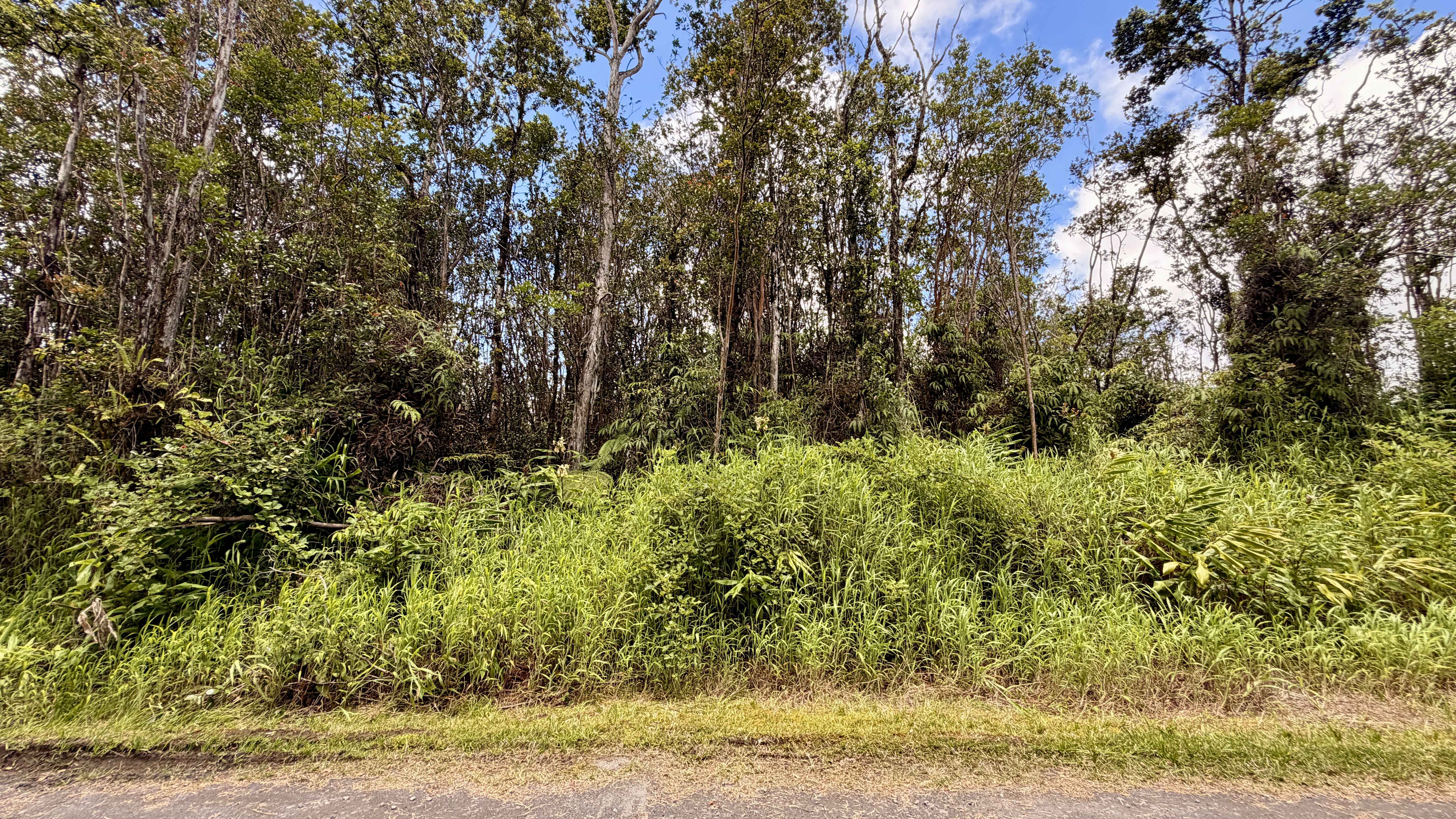 MAKOA RD, Volcano, HI 96785