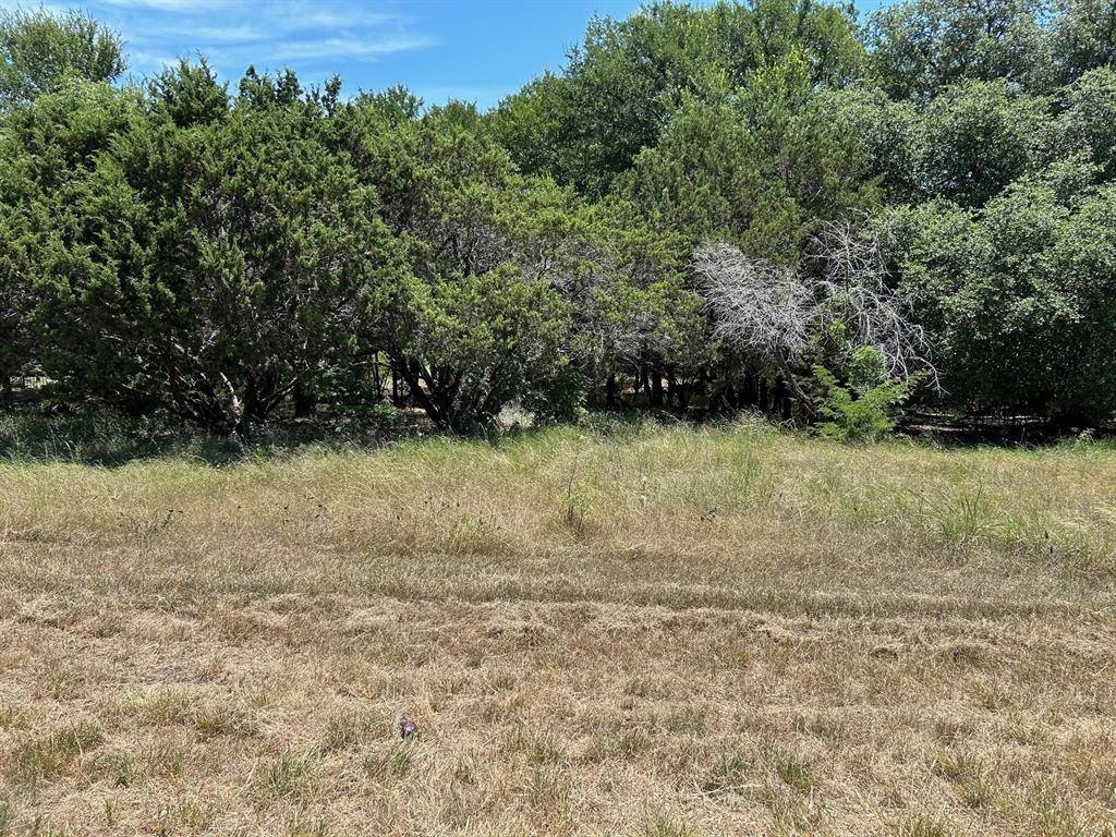 13001 Crestwood Drive, Whitney, TX 76692