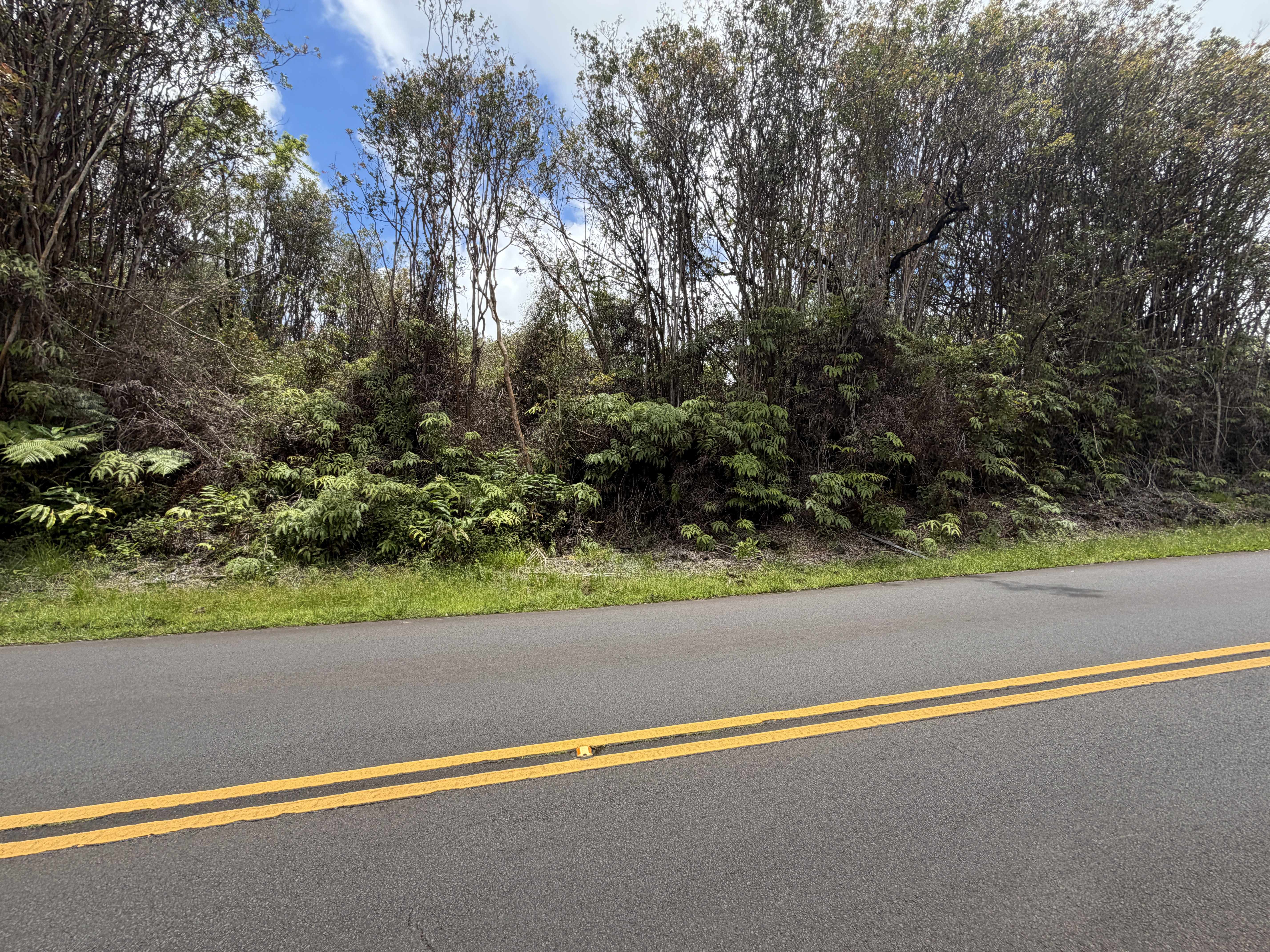 18-8069 KULANI RD, Mountain View, HI 96771