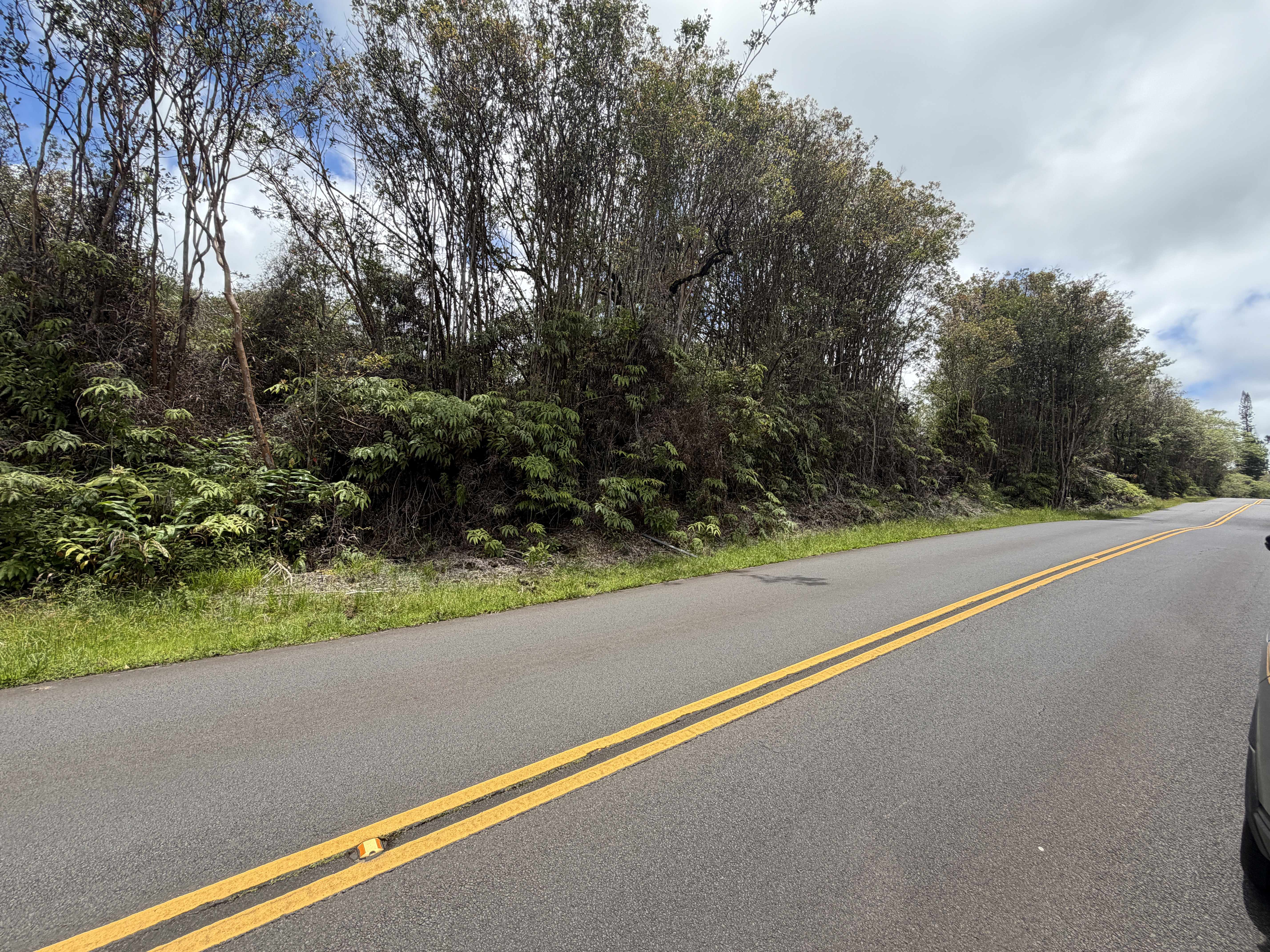 18-8069 KULANI RD, Mountain View, HI 96771