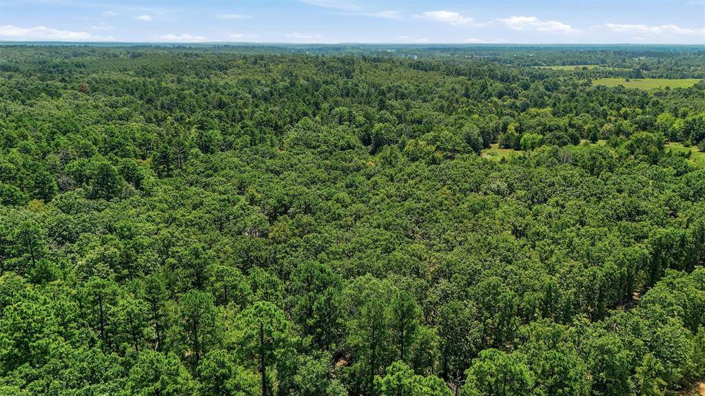 0002 Rattan Trail, Antlers, OK 74523