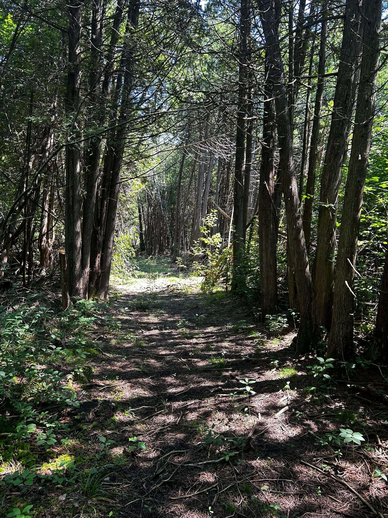 00 Kerford RD, Merrickville-wolford, ON K0G 1N0