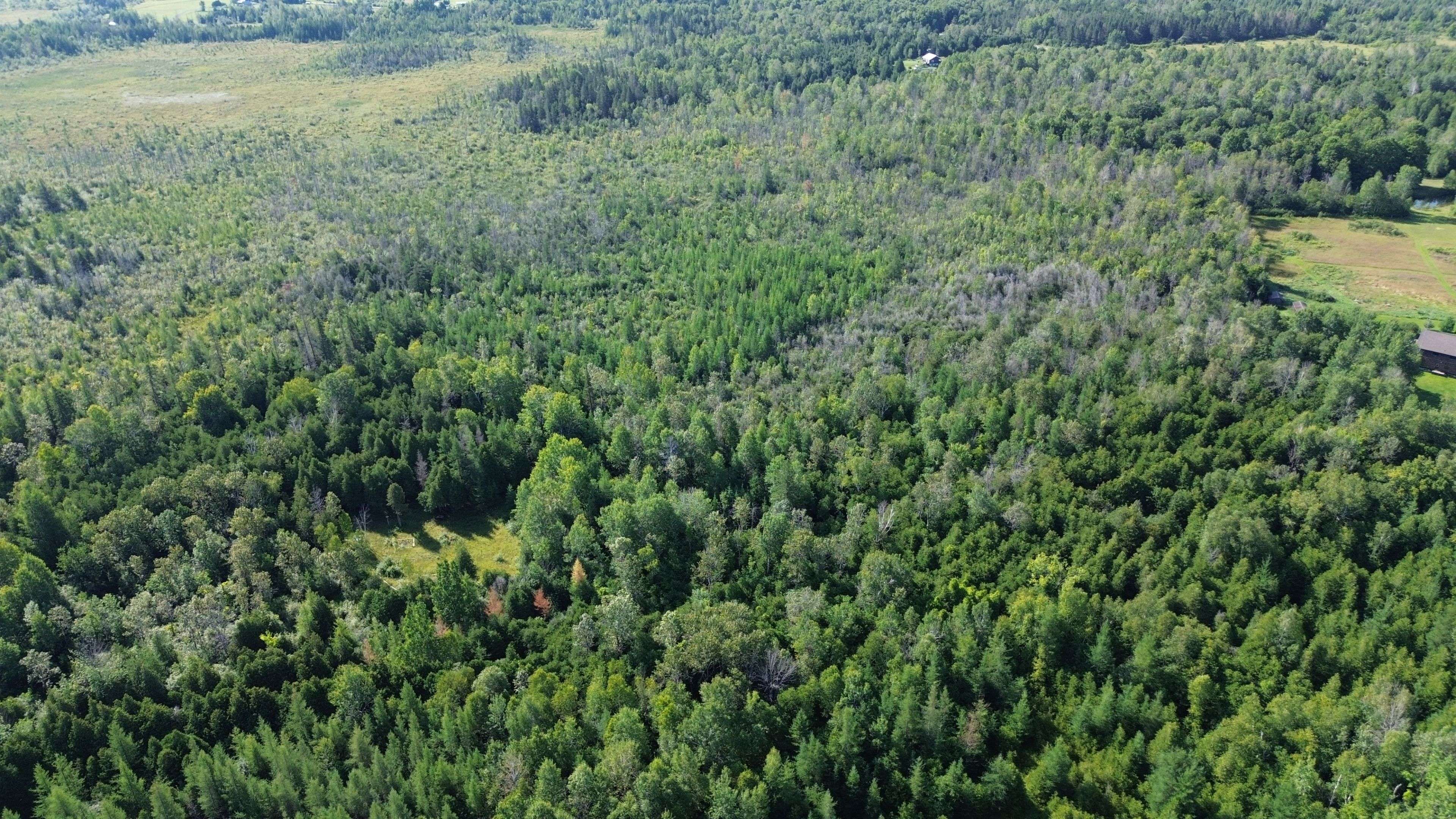00 Kerford RD, Merrickville-wolford, ON K0G 1N0