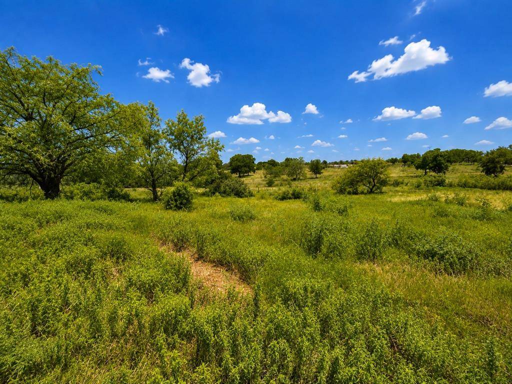 14197 County Road 4054, Kemp, TX 75143