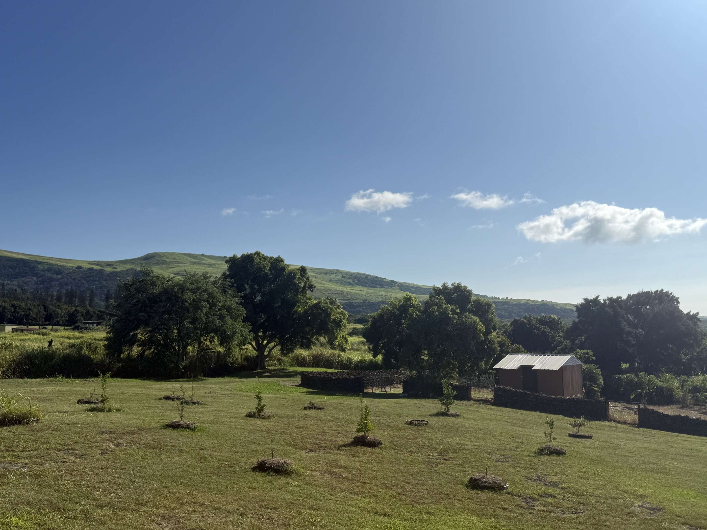 94-1547 KAALUALU RD, Naalehu, HI 96772
