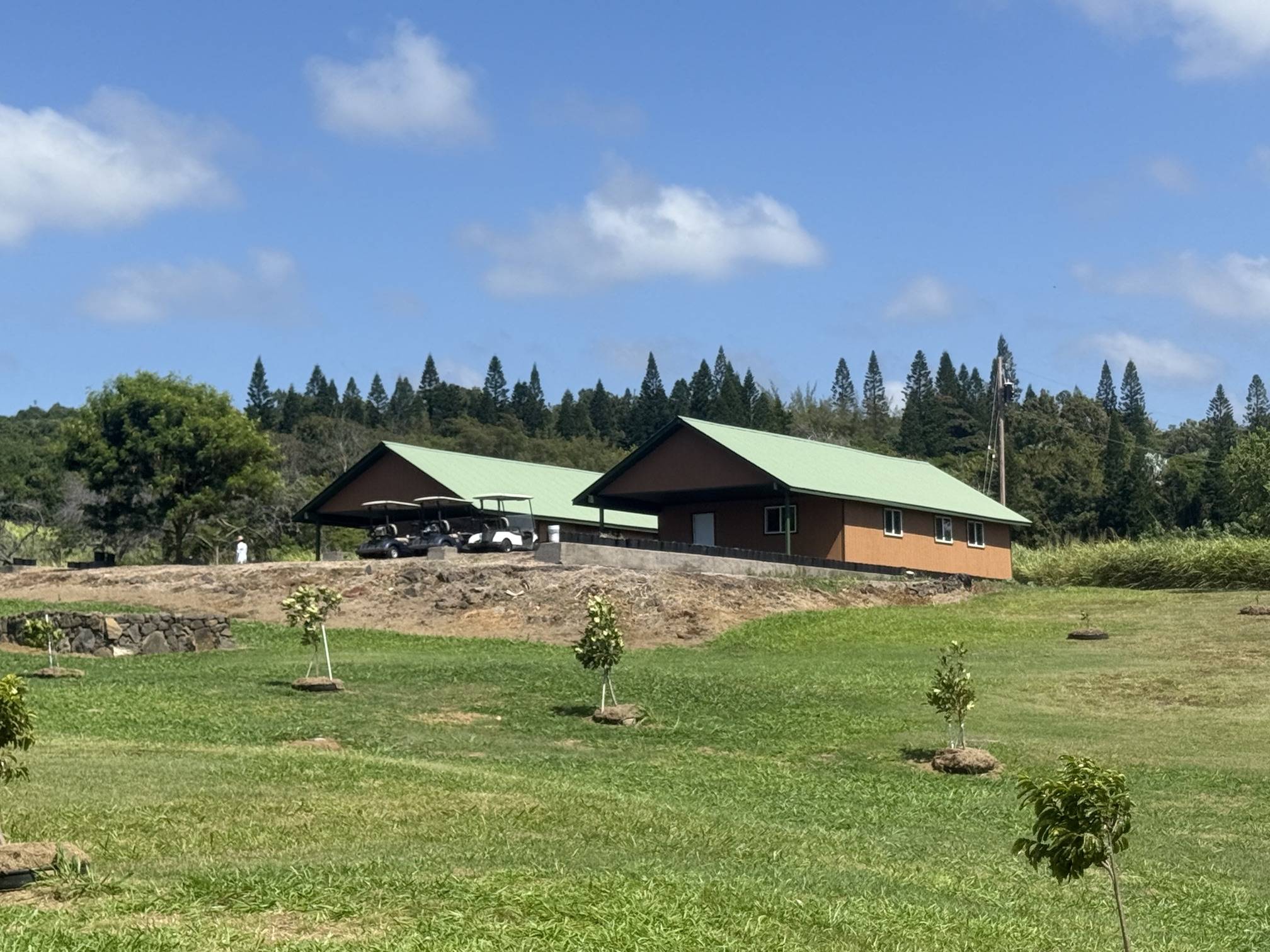 94-1547 KAALUALU RD, Naalehu, HI 96772