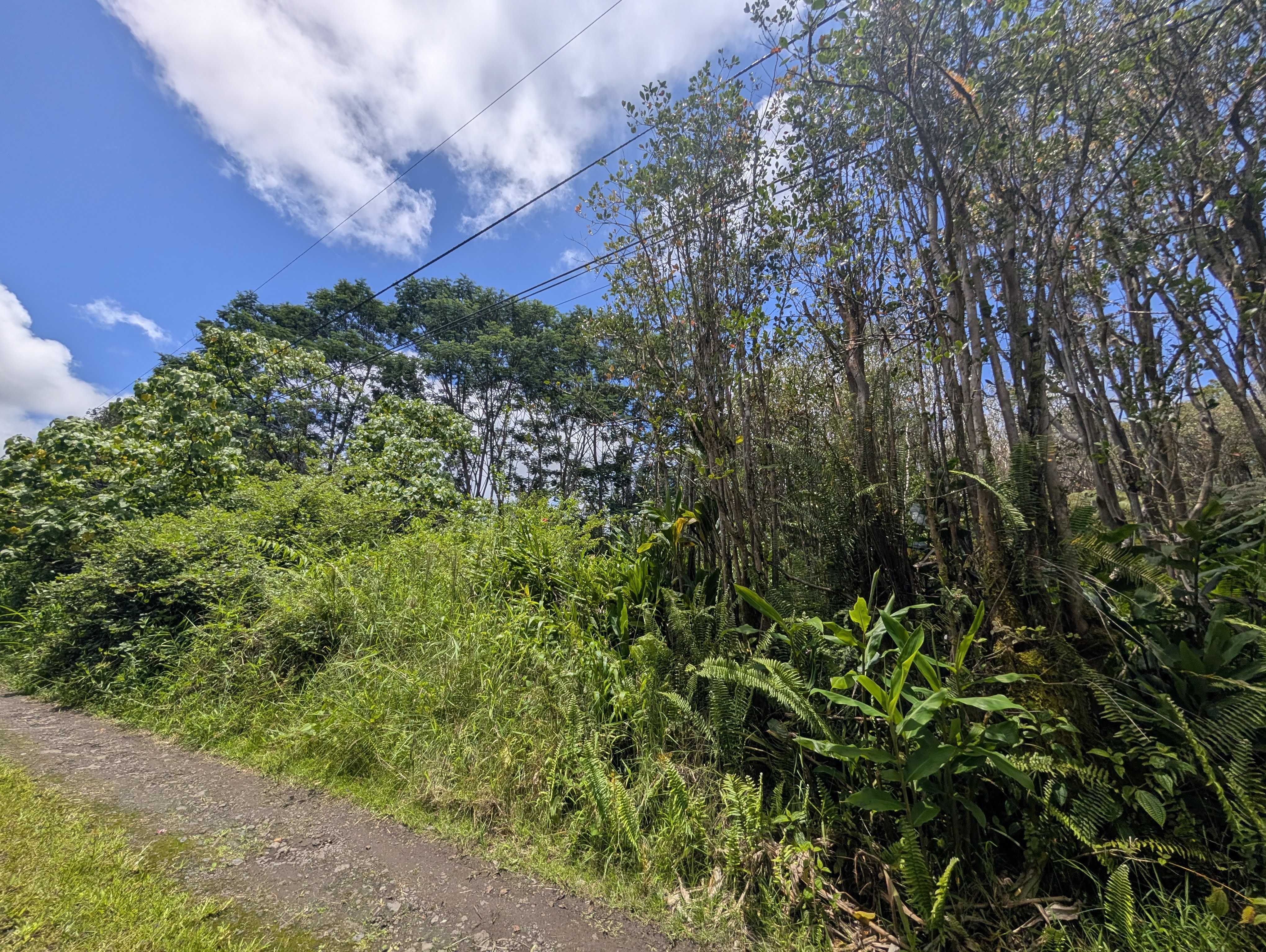 KEOLA PL, Mountain View, HI 96771