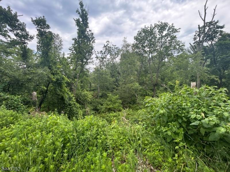 425 Pittstown Rd, Franklin Twp., NJ 08867