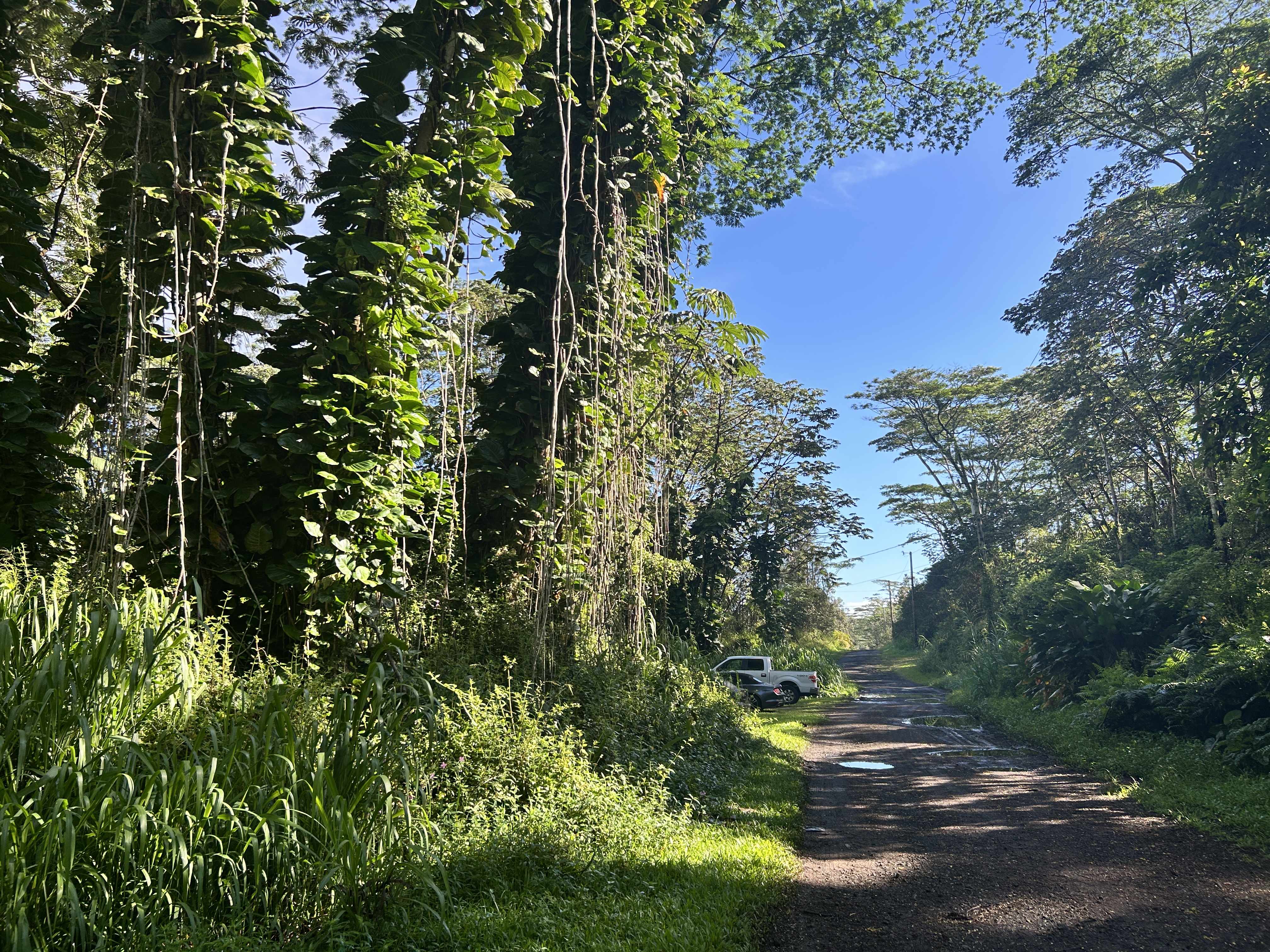 14-3491 PLUMERIA RD, Pahoa, HI 96778