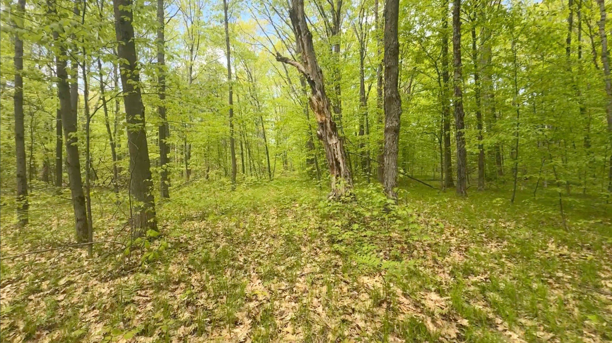 207 Middle Ridge RD, Brighton, ON K0K 1H0