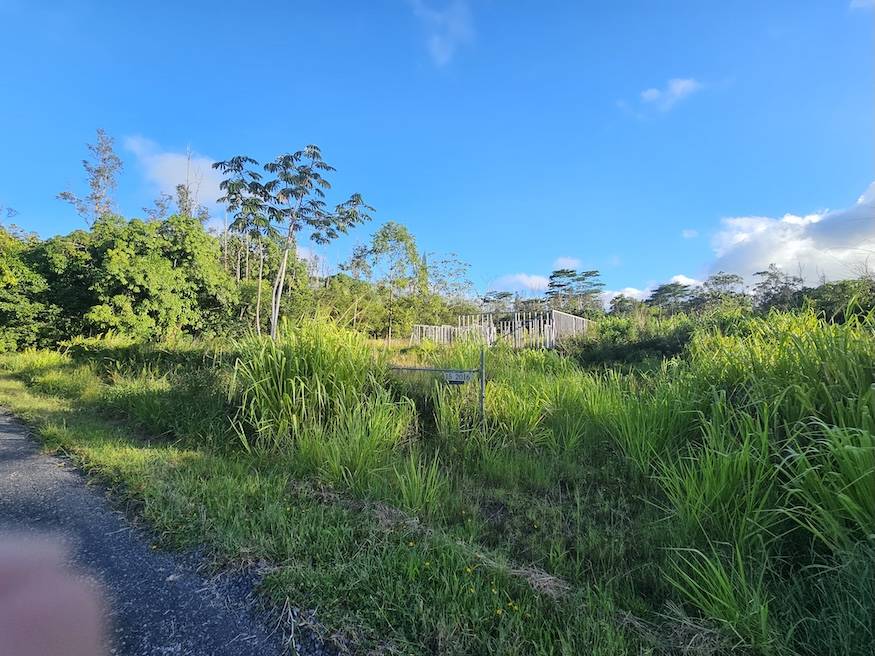 15-2016 14TH AVE, Keaau, HI 96749