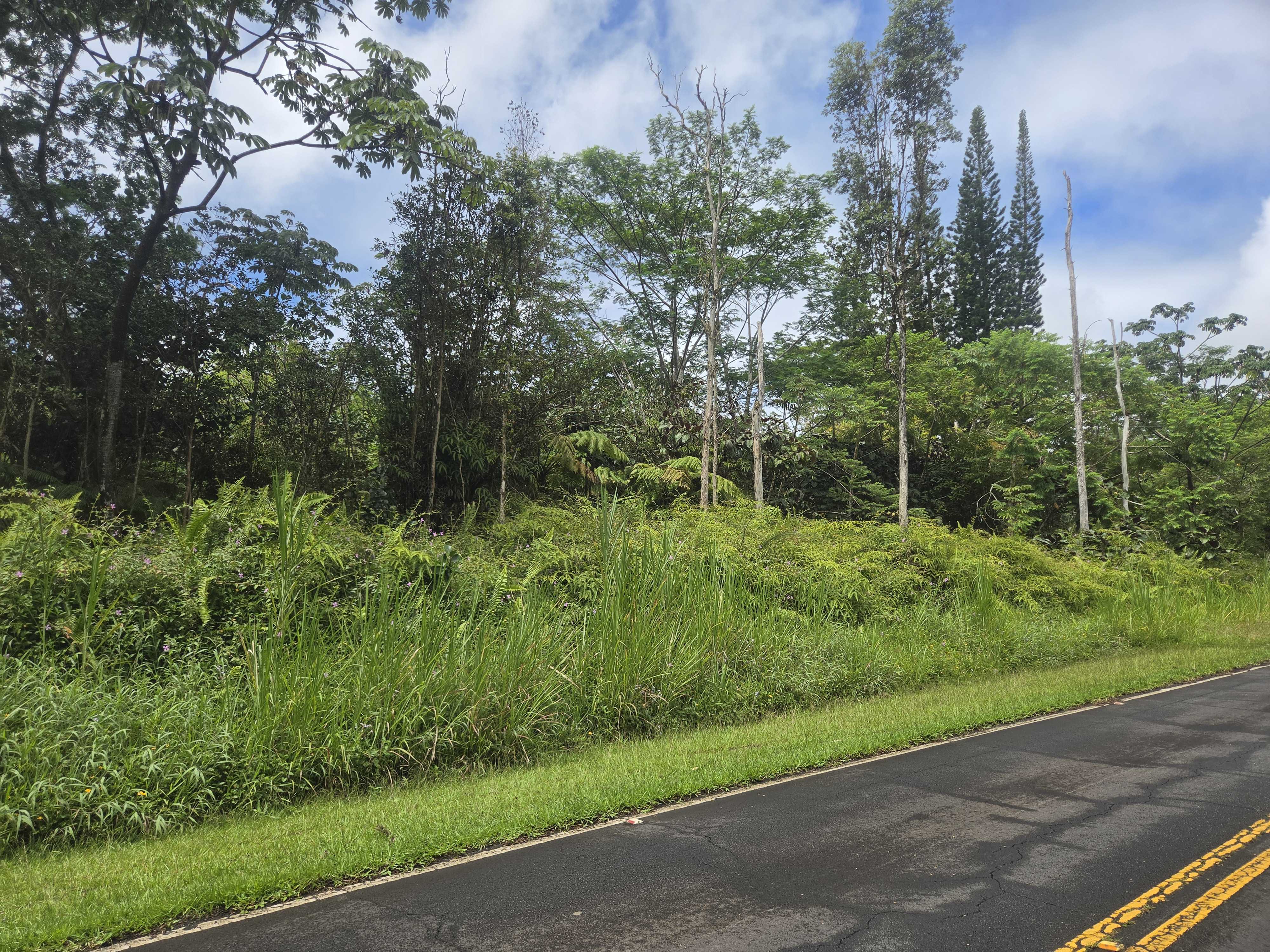 13-3550 POMAIKAI ST, Pahoa, HI 96778
