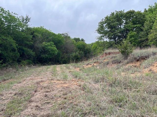 35 AC Two Bush Rd, Perrin, TX 76486