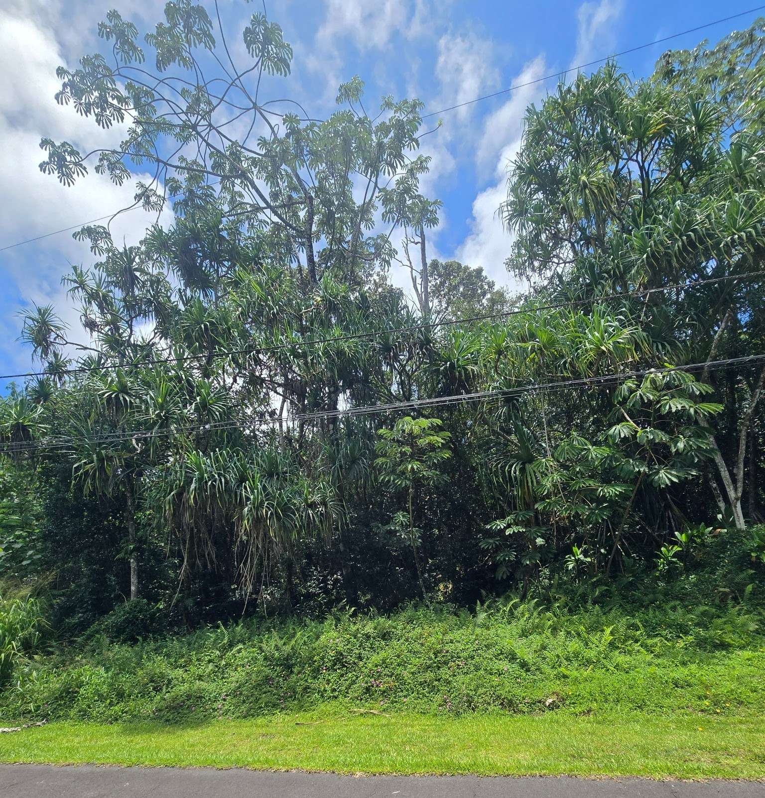 NENUE ST, Pahoa, HI 96778