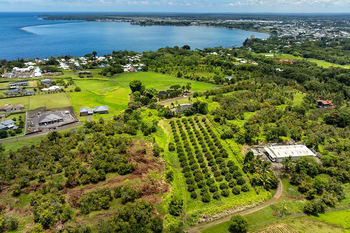 647 KAUHIULA RD, Hilo, HI 96720