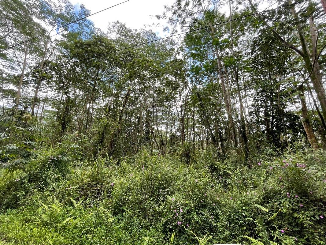PLUMERIA RD, Pahoa, HI 96778