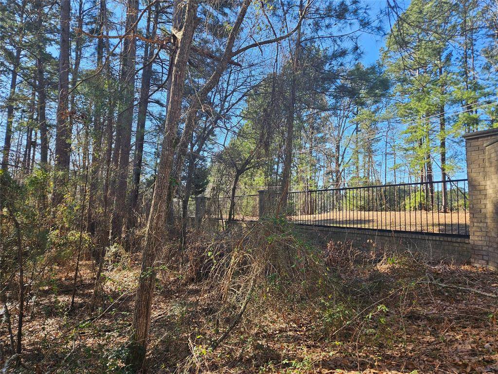 13311 White Tail Drive #1, Tyler, TX 75707