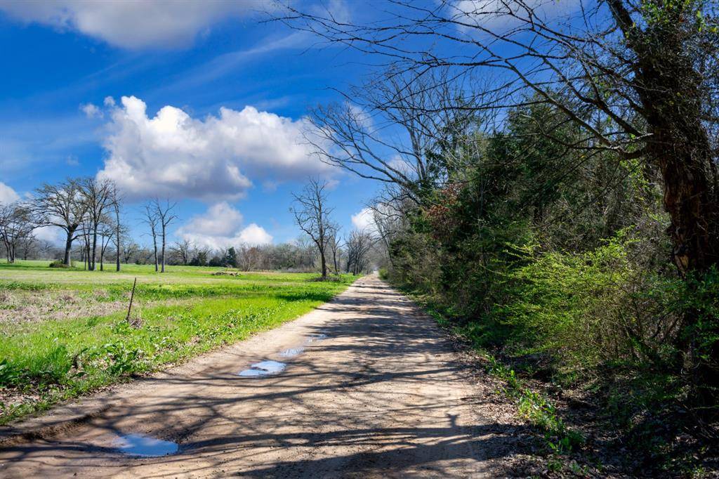 800 County Road 2390, Pickton, TX 75471