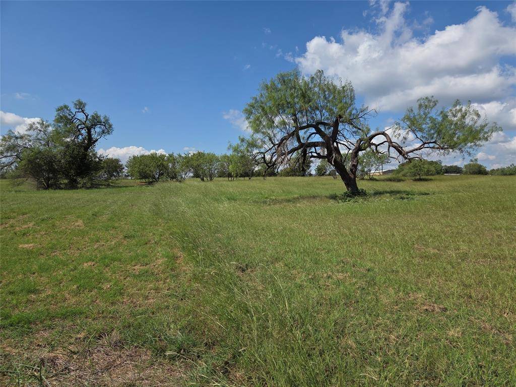 Lot 15 Open Water Way, Streetman, TX 75859