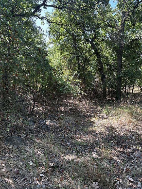 00 Gopher, Weatherford, TX 76088